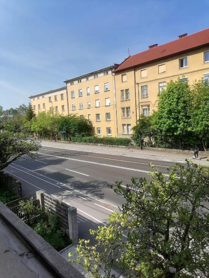 Pirc Apartment On Dunajska Street Ljubljana Bagian luar foto