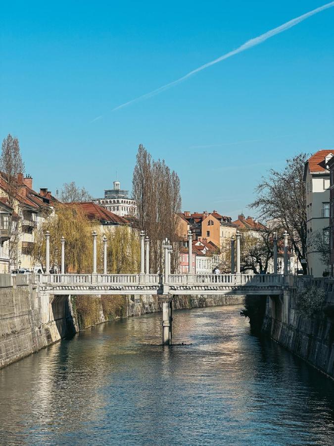 Pirc Apartment On Dunajska Street Ljubljana Bagian luar foto